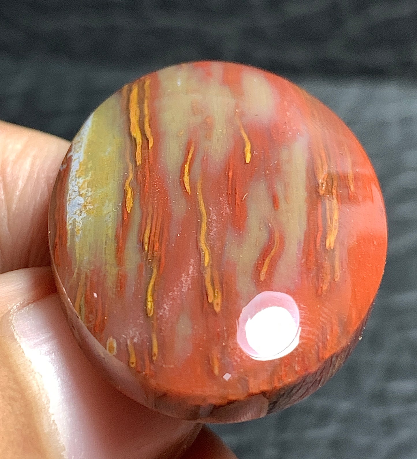 Unique Petrified Palmwood Oval Cabochon 29.8x22x6.3mm