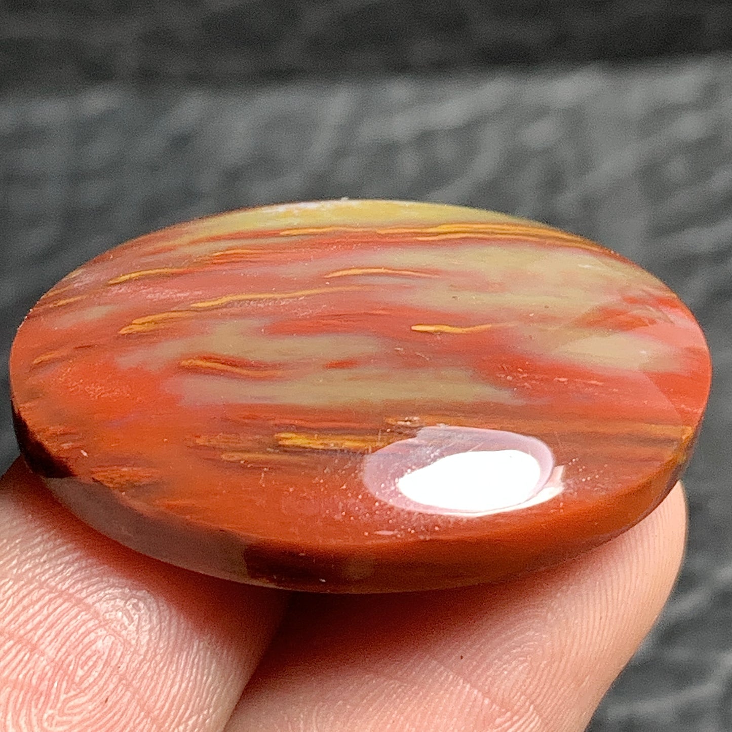 Unique Petrified Palmwood Oval Cabochon 29.8x22x6.3mm