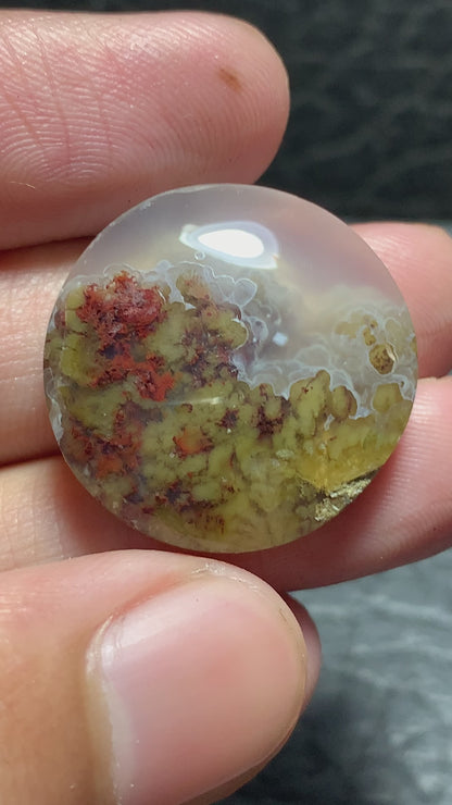 Scenic Moss Plume Agate Round Cabochon 23x23x6mm