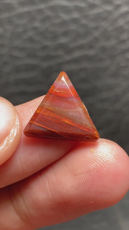 Petrified Palmwood Triangle Cabochon 14.5x13x3mm