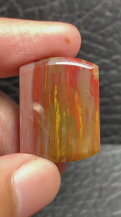 Multicolor Petrified Palmwood Oblong Cabochon 25x19x3mm