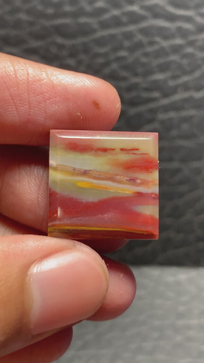 Petrified Palmwood Square Cabochon 18x18x4mm