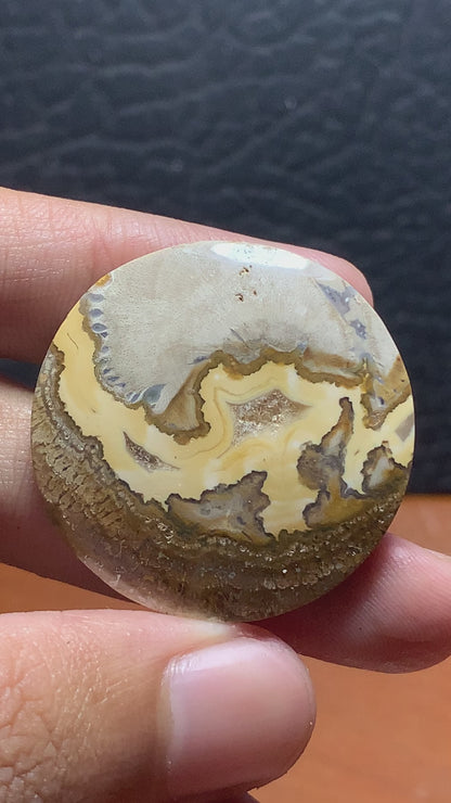 Petrified Wood Round Cabochon 33x33x6.5 mm