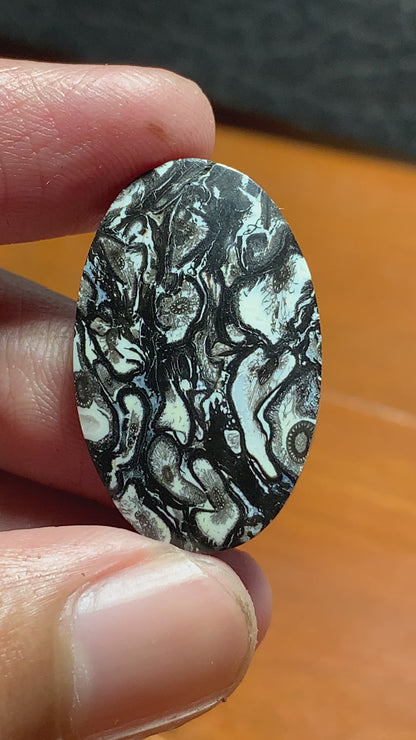 Black Palmroot Oval Cabochon 28x17.8x5mm