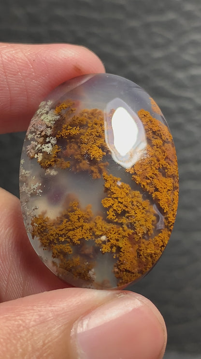 Scenic Moss Agate Oval Cabochon 34x23x7mm