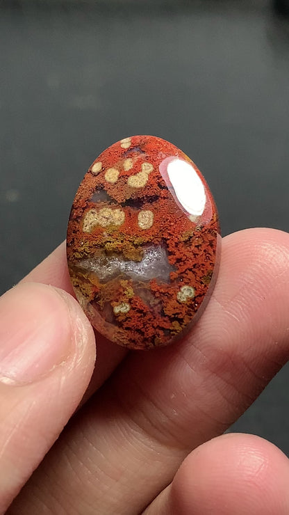 Plume Agate Oval Cabochon 23x16.7x5mm