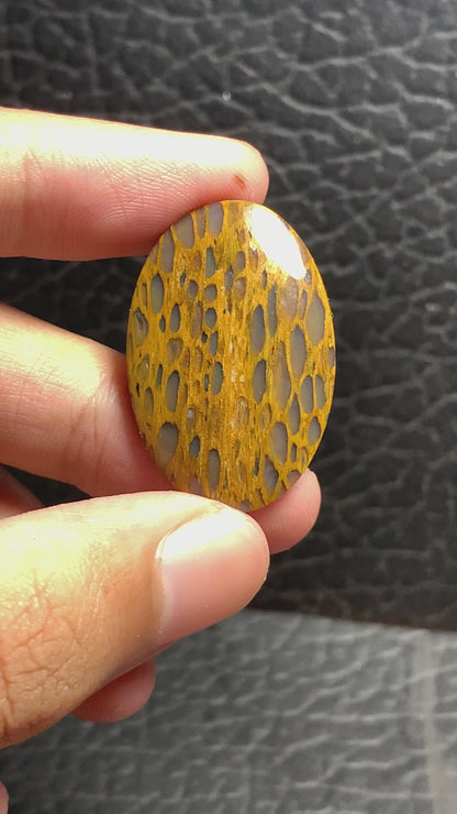 Unique Petrified Wood Oval Cabochon 32x21.3x4.5mm