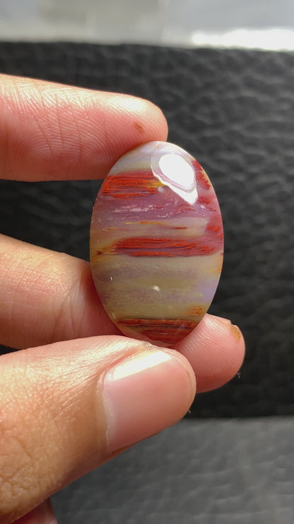 Unique Multicolor Petrified Palmwood Oval Cabochon 29.6x19x5.2mm