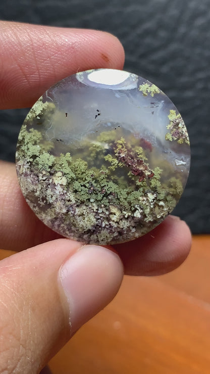 Unique Scenic Moss Agate Round Cabochon 28.5x28.5x7.8mm