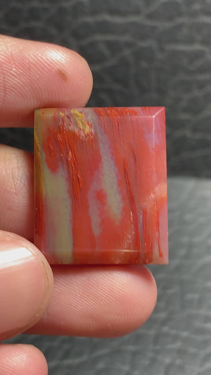 Petrified Palmwood Rectangle Cabochon 23x19x4mm