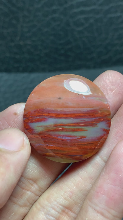 Petrified Palmwood Round Cabochon 29x29x6.5mm