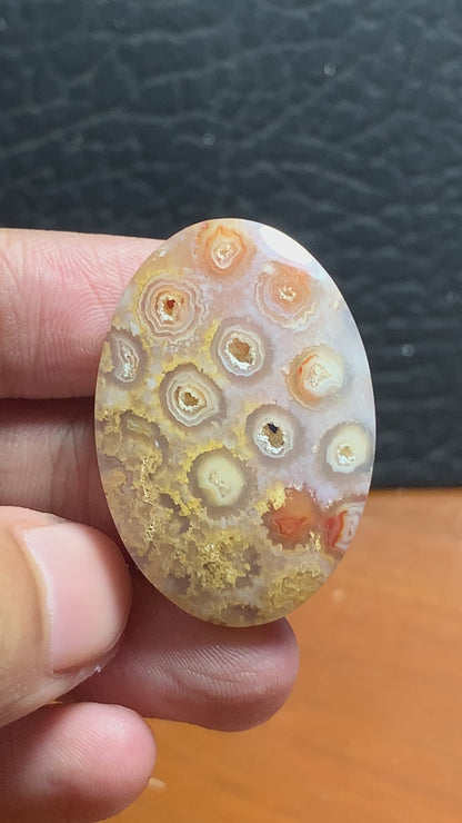 Unique Coral Fossil Oval Cabochon 35.6x24.5x6mm