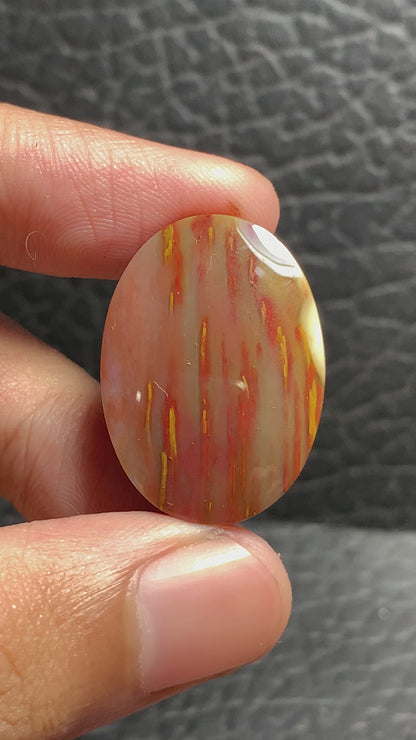 Multicolor Petrified Palmwood Oval Cabochon 27.5x20x6mm