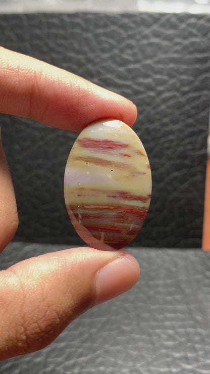 Unique Multicolor Petrified Palmwood Oval Cabochon 32.5x21.5x5.8mm