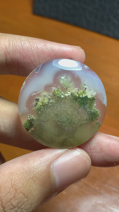 Scenic Moss Agate Round Cabochon 29.5x29.5x6 mm