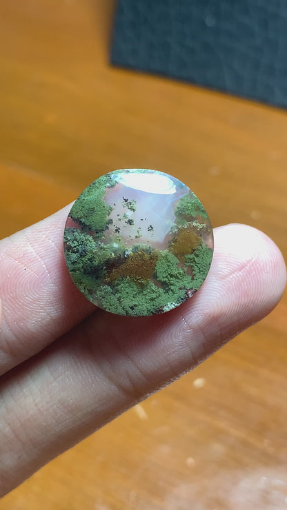 Scenic Moss Agate Round Cabochon 19.3x19.3x3.8mm