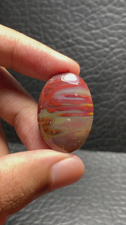 Multicolor Petrified Palmwood Oval Cabochon 30.7x21x6mm