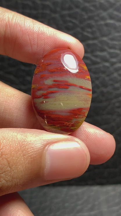 Unique Multicolor Petrified Palmwood Oval Cabochon 28x19x6.2mm