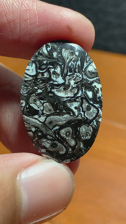 Unique Palmroot Oval Cabochon 26.5x17.5x5mm