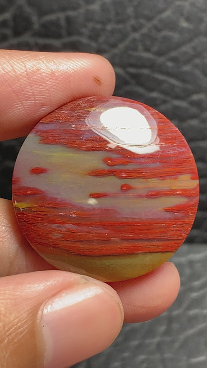 Unique Multicolor Petrified Palmwood Round Cabochon 29x29x5.7mm