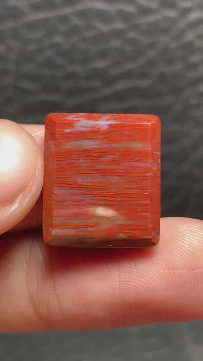 Petrified Palmwood Rectangle Cabochon 17.5x15x4.5mm