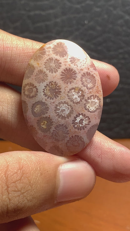 Unique Coral Fossil Oval Cabochon 35.8x25x7mm