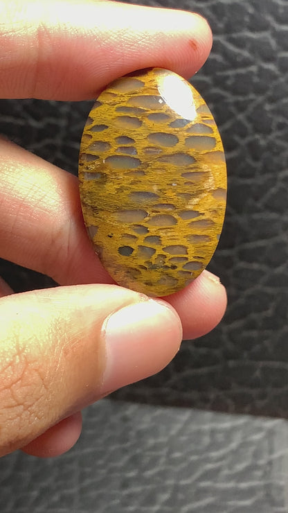 Petrified Wood Oval Cabochon 32x21x5mm