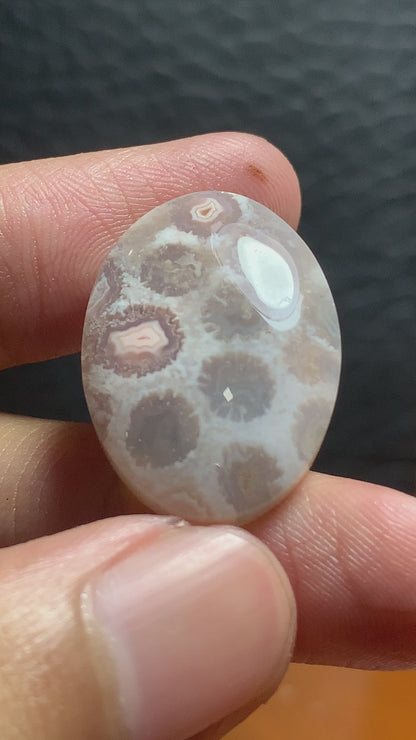 Unique Coral Fossil Oval Cabochon 25.8x18.5x6mm