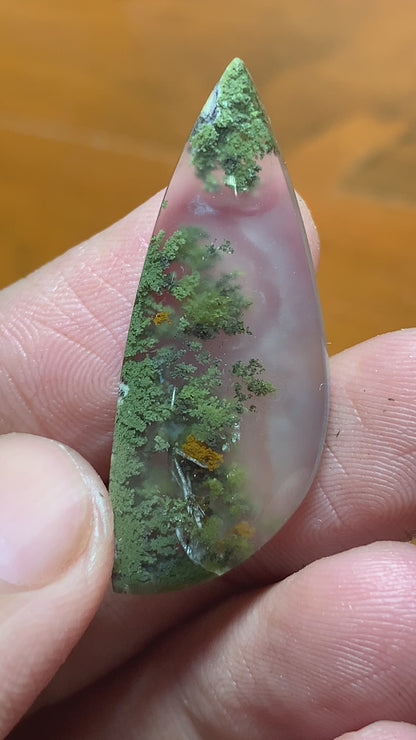 Scenic Moss Agate Teardrop Cabochon 36x19x5mm