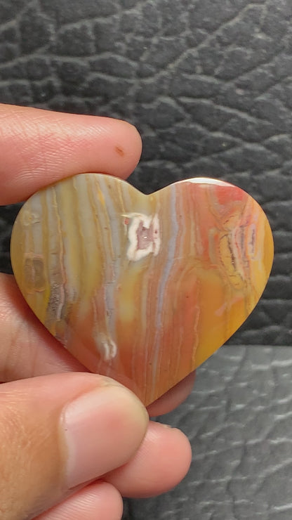 Unique Multicolor Petrified Wood Heart Cabochon 36x33x5.9mm