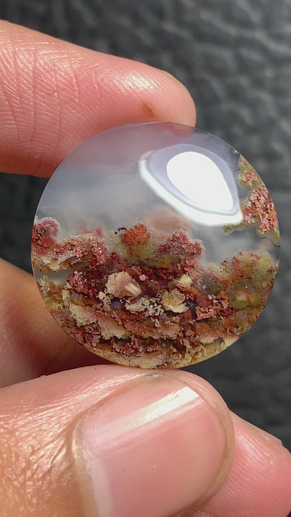 Scenic Moss Agate Round Cabochon 23x23x4.5mm