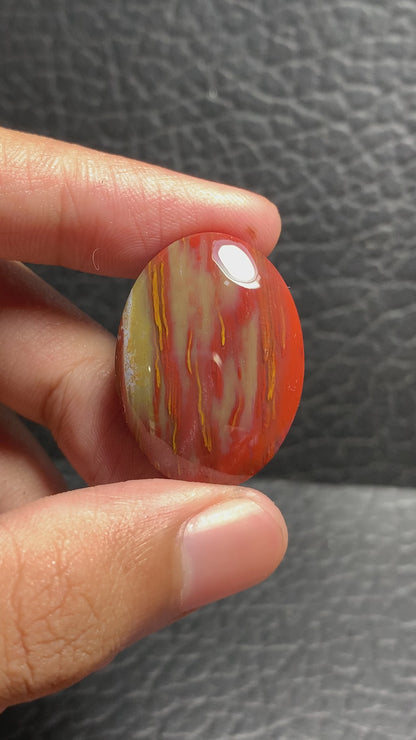 Unique Petrified Palmwood Oval Cabochon 29.8x22x6.3mm