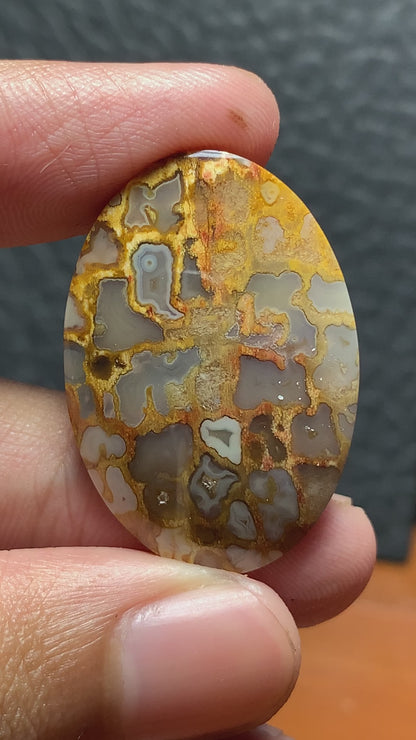 Petrified Palm Root Oval Cabochon 33x22.5x6 mm with Unique Pockets Fortifications