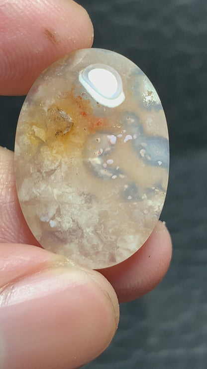 Unique Coral Fossil Oval Cabochon 23x16x5mm