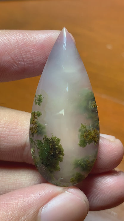 Scenic Moss Agate Teardrop Cabochon  41x18x8mm