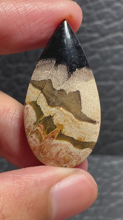 Petrified Wood Teardrop Cabochon 37.5x19.3x6mm