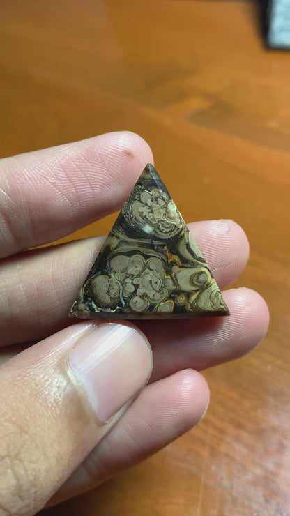 Unique Batik Jasper Triangle Cabochon 26x25x4.5mm