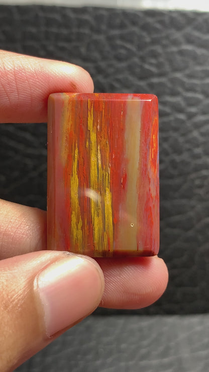 Unique Multicolor Petrified Palmwood Rectangle Cabochon 31.7x21.4x4.7mm