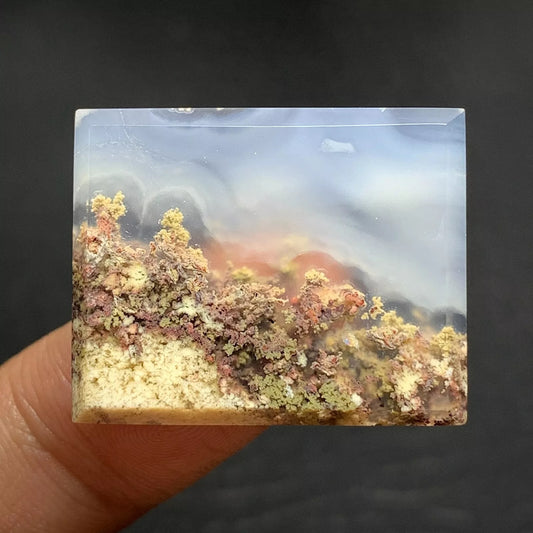 Scenic Moss Agate Cabochon 26x21x4mm